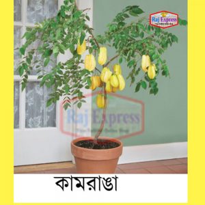 কামরাঙ্গা