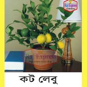 কডলেবু