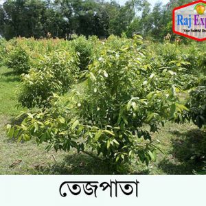 তেজপাতা