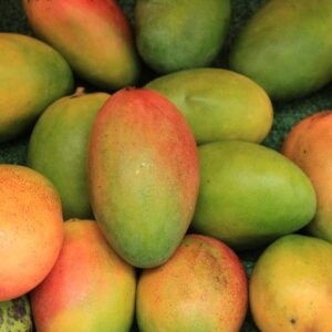 সুন্দরী-২০ কেজি ২০ কেজি