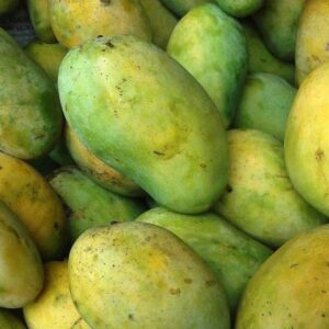 আমরুপালী-20 কেজি