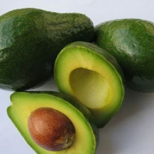 এভোকেডো