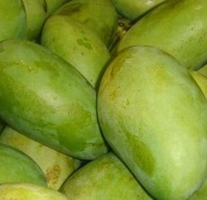 ফজলি-২০ কেজি