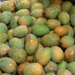 গুটি আম-২০ কেজি