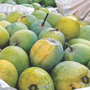 গোপালভোগ