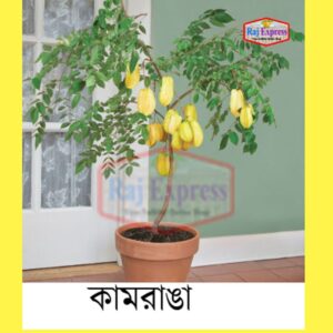 কামরাঙ্গা মিষ্টি