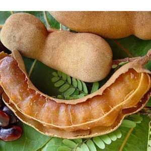 মিষ্টি তেঁতুল