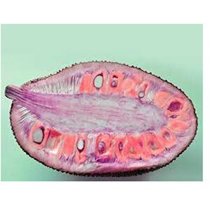 পিং কাঠাল