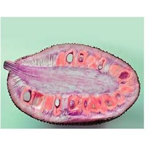 পিংক কাঁঠাল