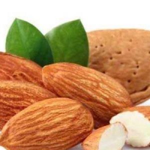 কাঠ বাদাম