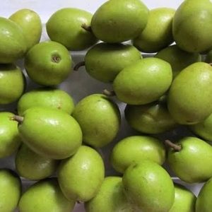 দেশি জলপাই