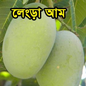 লেংড়া