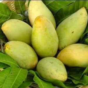 আম্রপালি