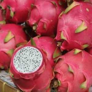 ড্রাগন গোলাপি