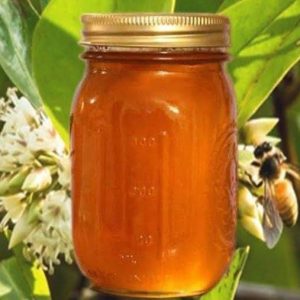 খলিশা ফুলের মধু( ১কেজি)