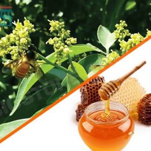 লিচু ফুলের মধু (১ কেজি)