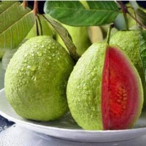 মাধুরি পেয়ারা