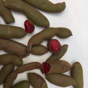 লাল মিষ্টি তেতুল