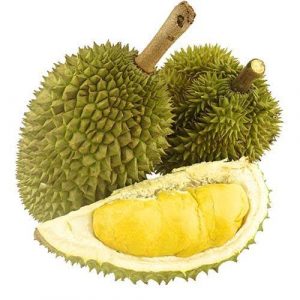 ডুরিয়ান বিজ